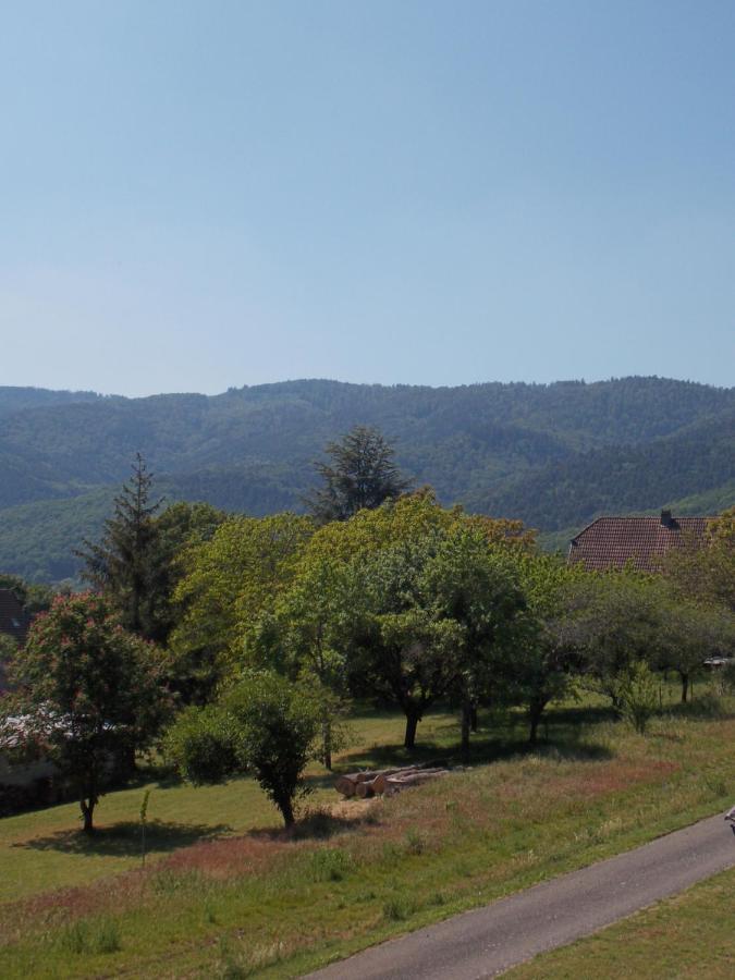 Maison De Vacances "Le Longchamp" Villa Osenbach Eksteriør billede